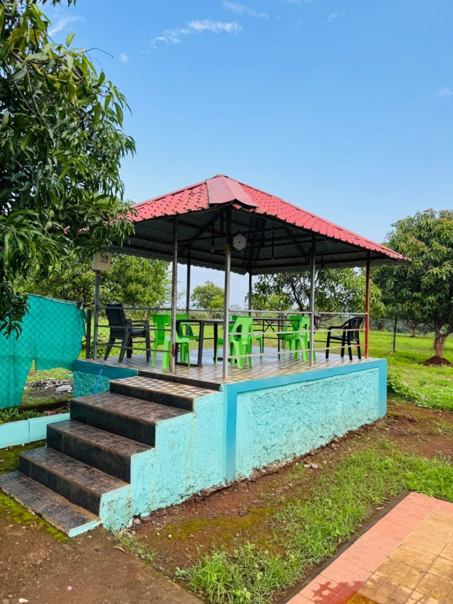 Photos