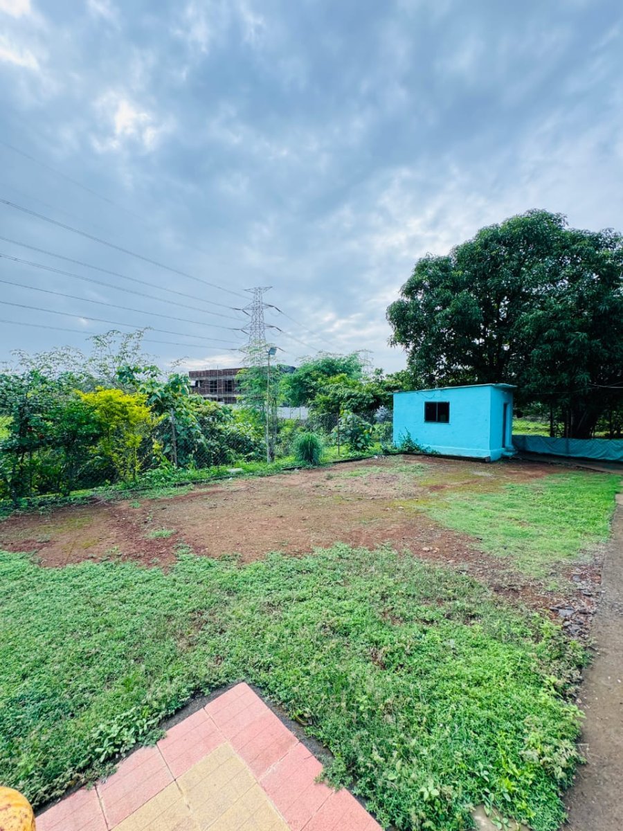 Photos