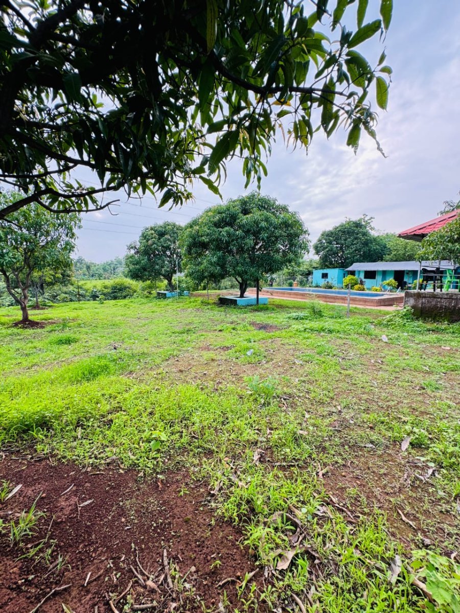 Photos
