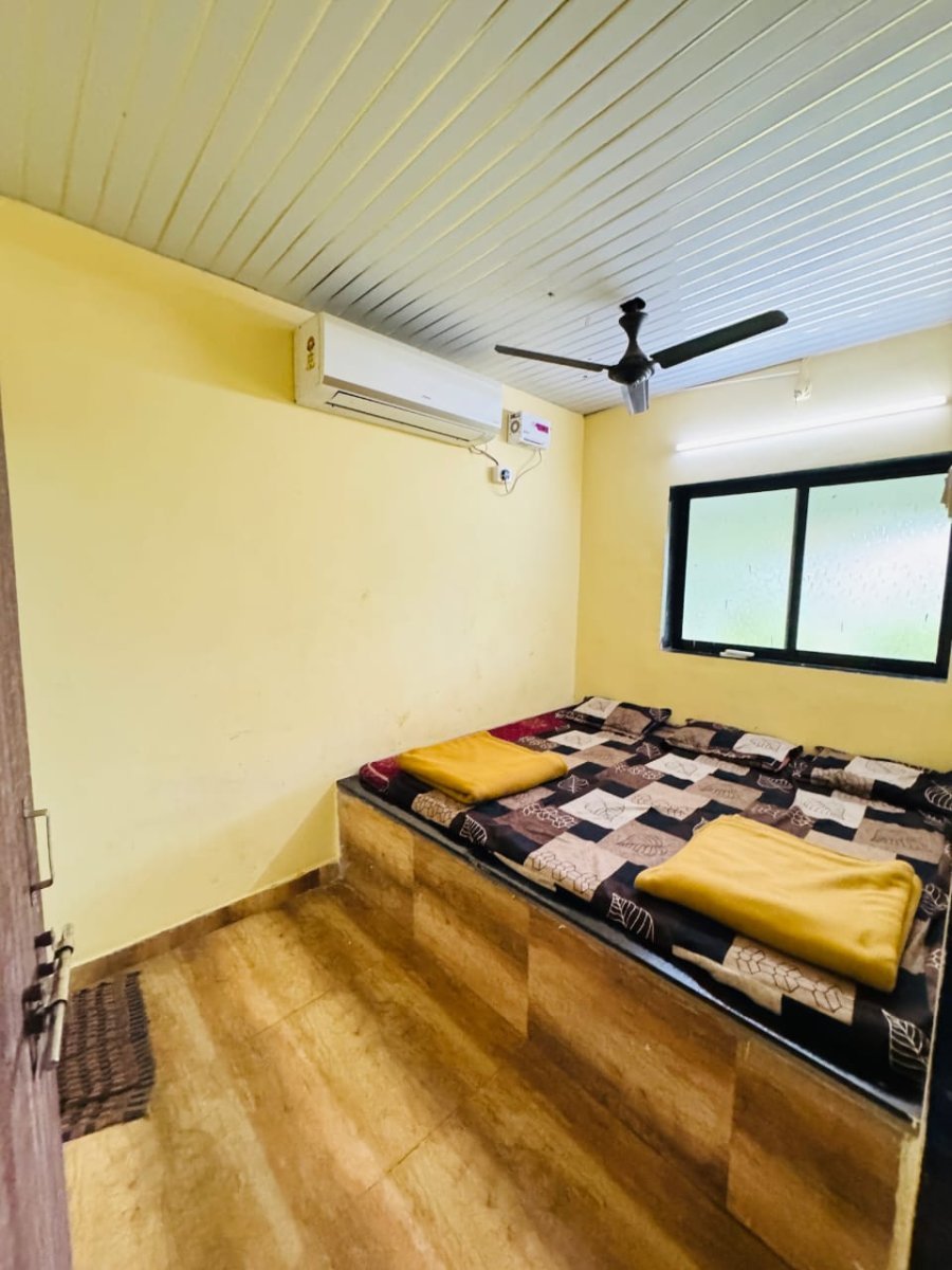 Photos