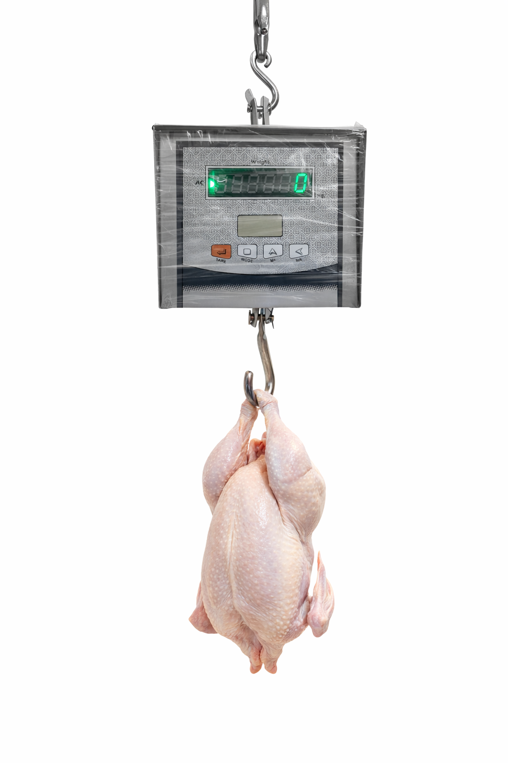 Hanging scale
