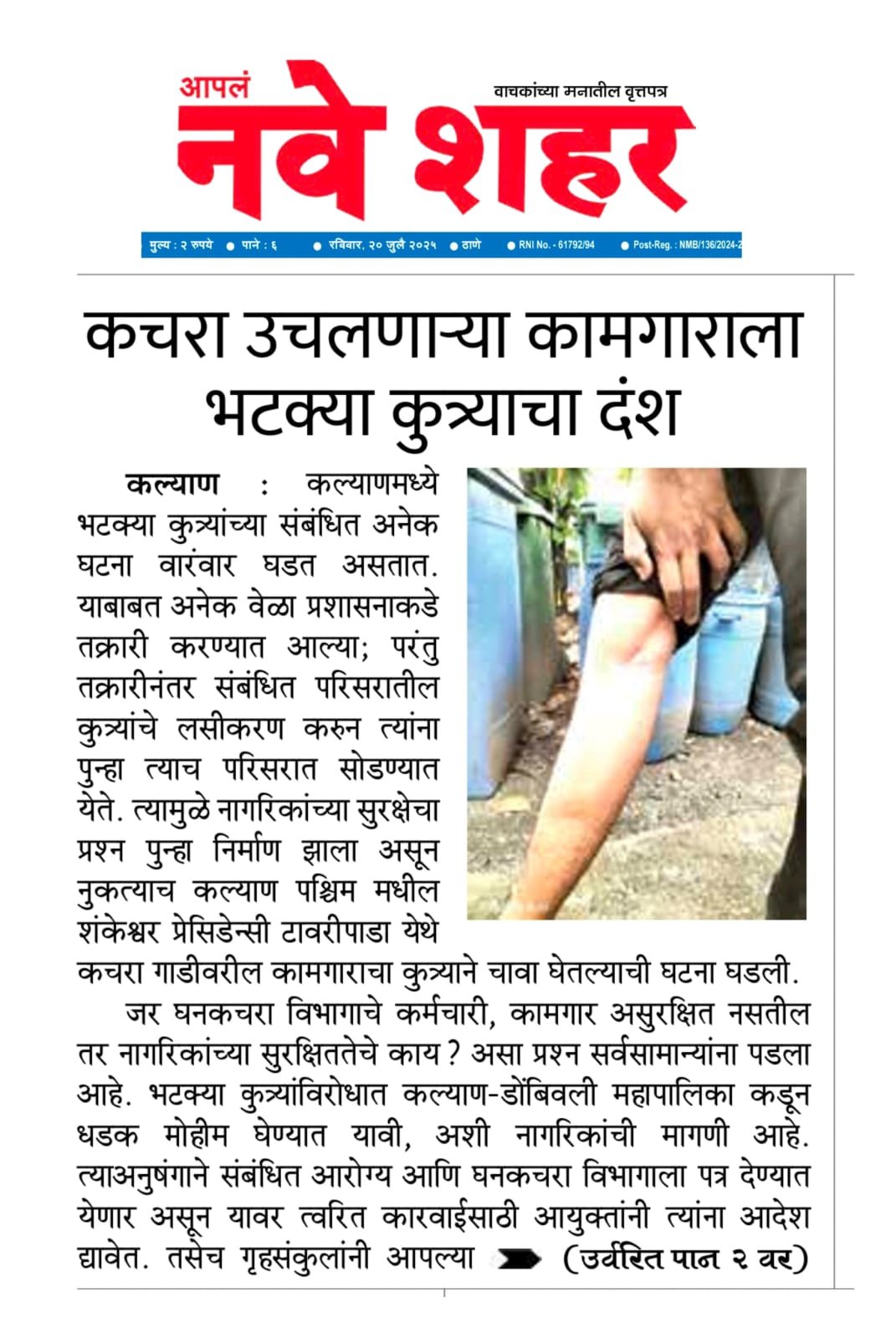भटक्या कुत्र्यांचा बंदोबस्त करण्याबाबत केडीएमसी कडे पाठपुरावा
