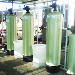 DM PLANT