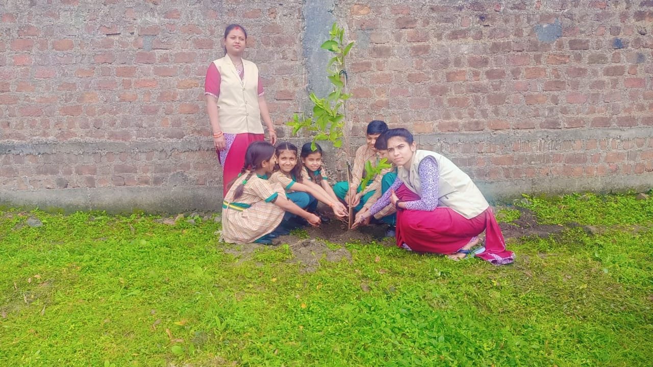 TEACHER ACTIVITIES