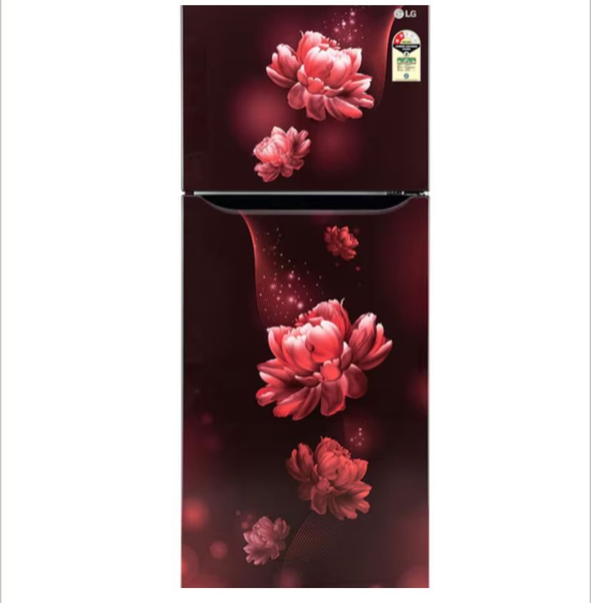 LG DOOBEL DOOR REFF 236 LTR
